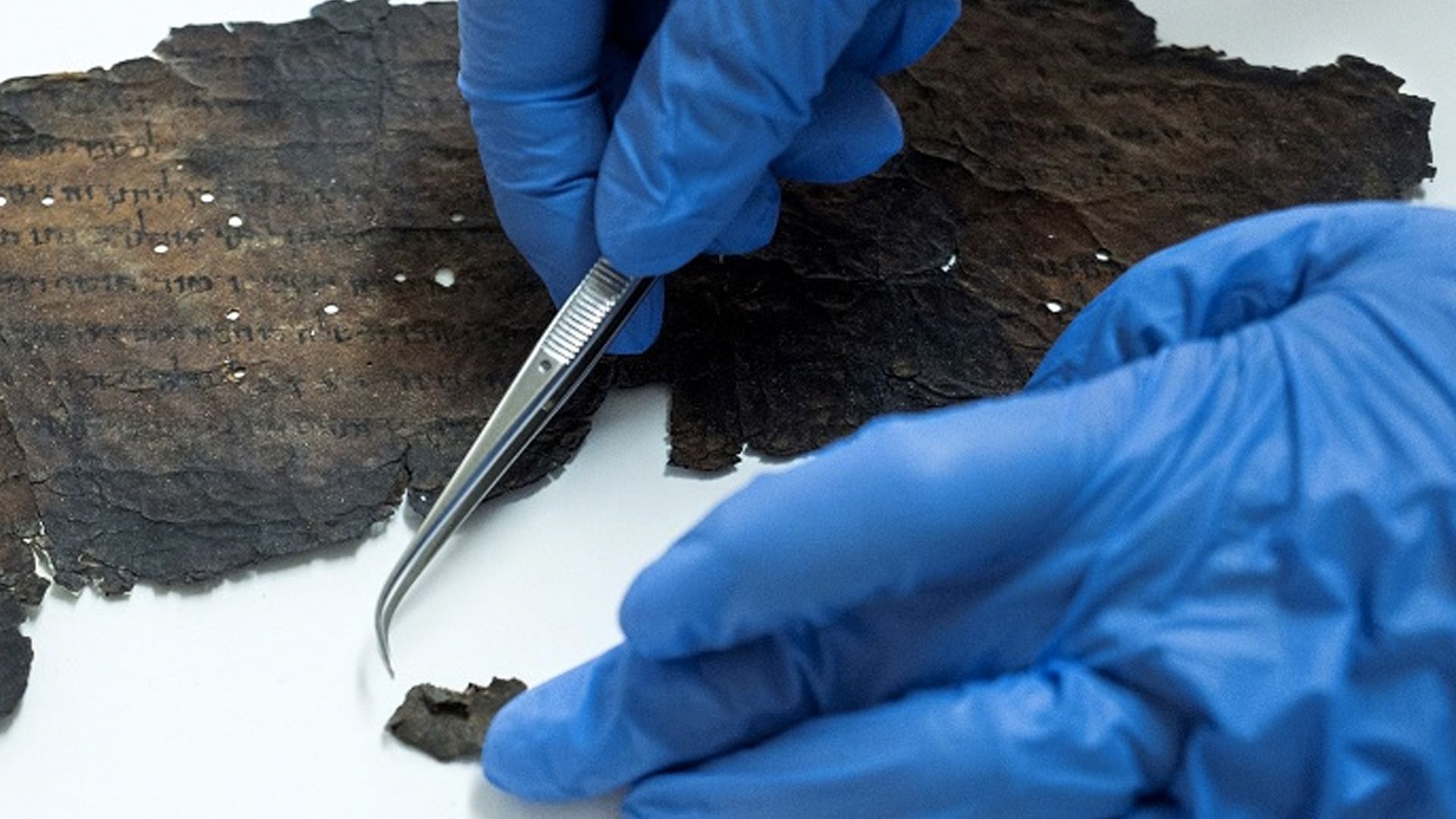 Rollos del Mar Muerto fueron hechos por varios escribas