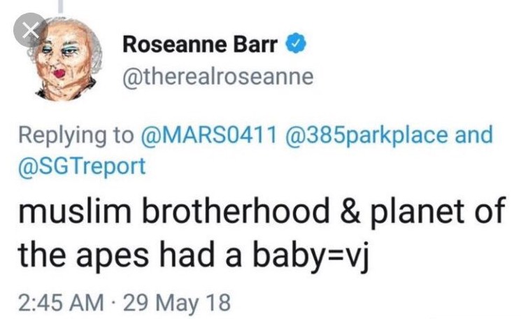 Cancelan programa 'Roseanne' tras tuit racista de protagonista - roseanne-barr
