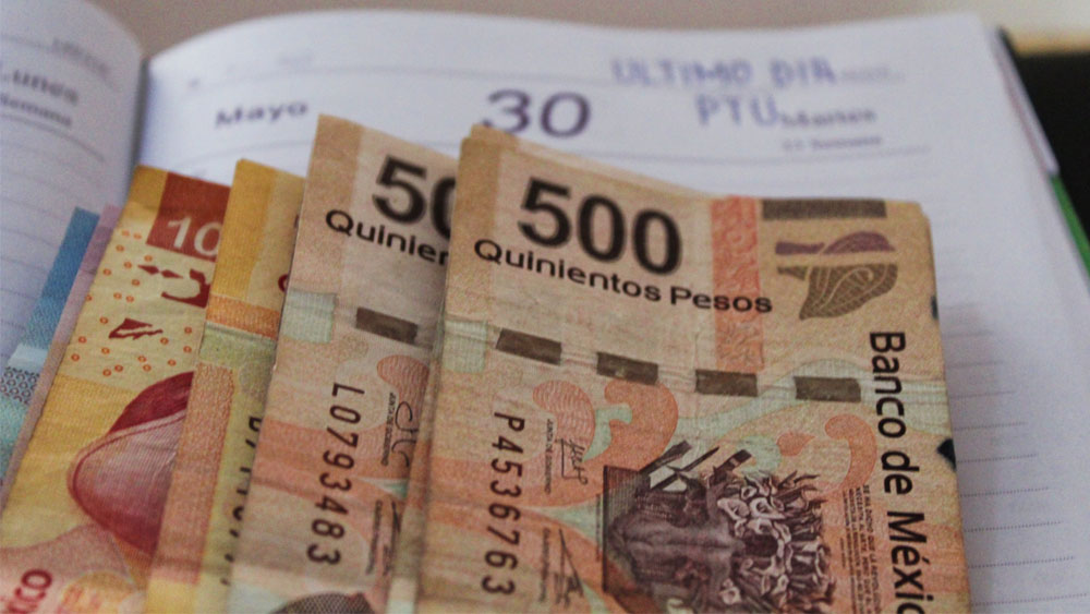 Multas de hasta 400 mil pesos a empresas que no den utilidades