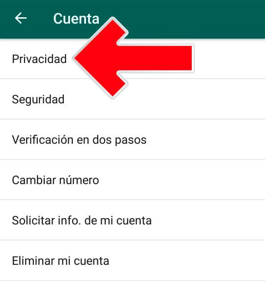 ¿Cómo desactivar las palomitas azules y ocultar mensajes en WhatsApp? - whats-cap-11-e1527100886544