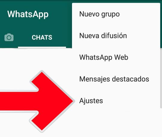 ¿Cómo desactivar las palomitas azules y ocultar mensajes en WhatsApp? - whats-cap-4-e1527100731657