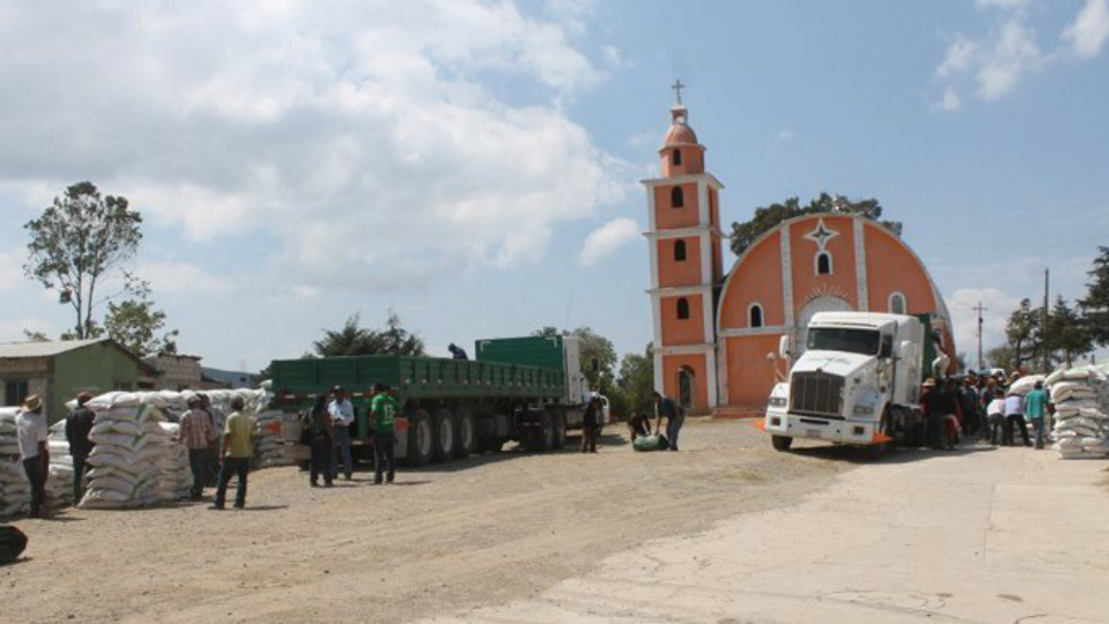 Obligan a edil en Guerrero a caminar descalzo y se desmaya