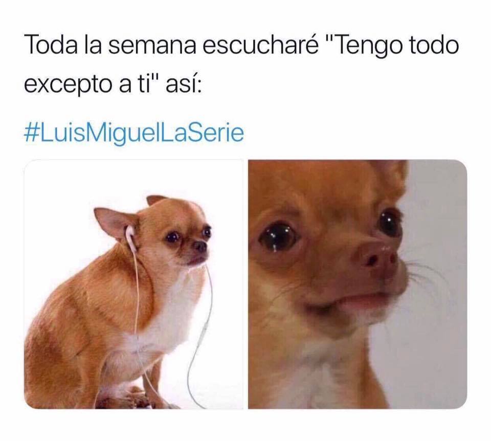 Los memes del episodio 10 de Luis Miguel - 36249013-1995027910543267-9197213306610253824-n
