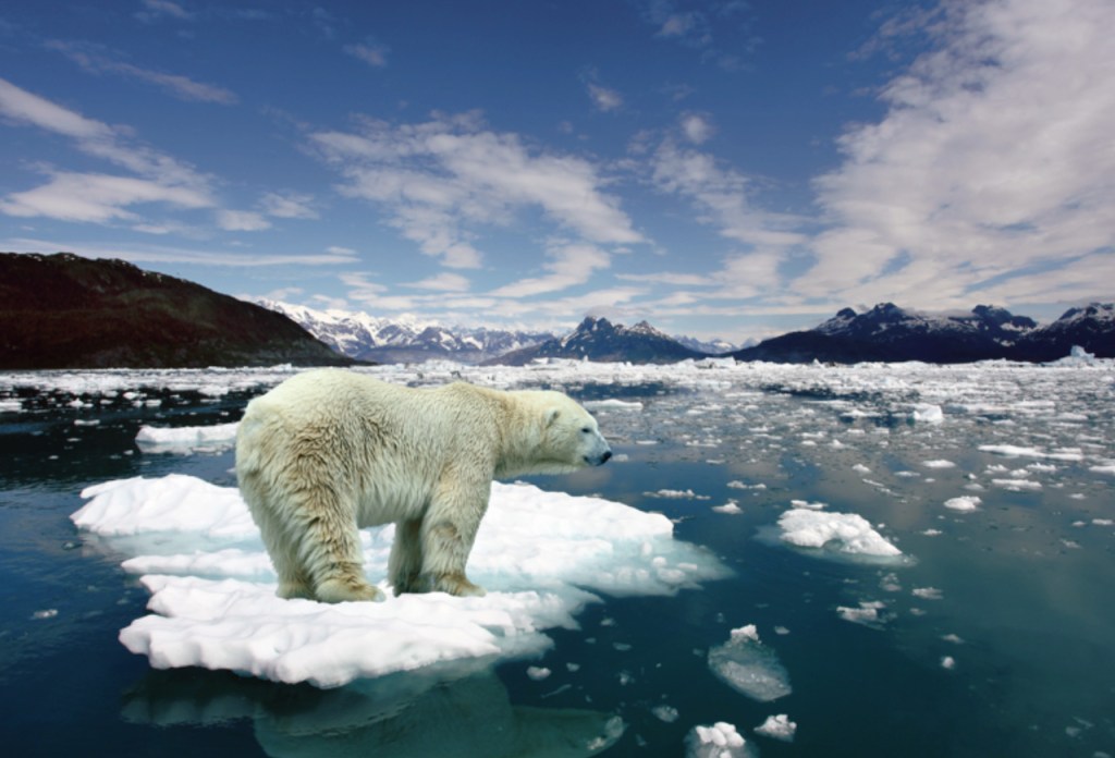 Diez animales en peligro de extinción - animales-galeria02