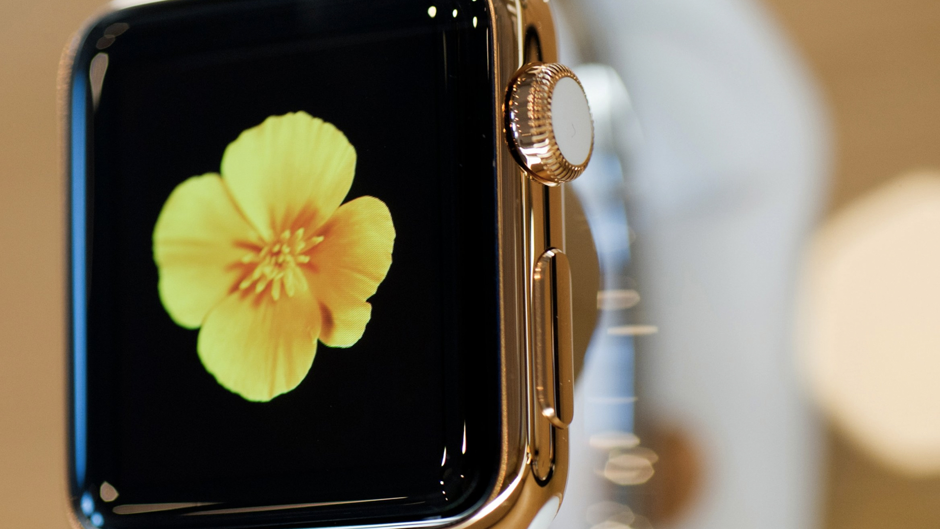 El Apple Watch de lujo será obsoleto - apple-watch