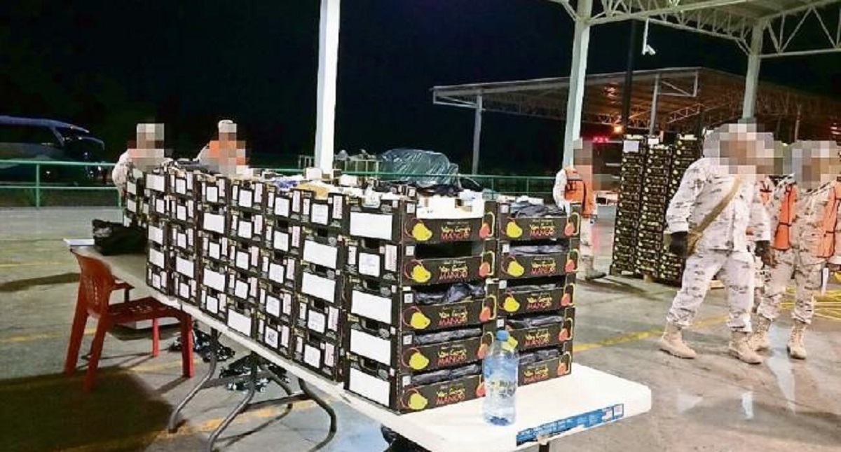Aseguran 249 kilos de droga entre cargamento de mangos