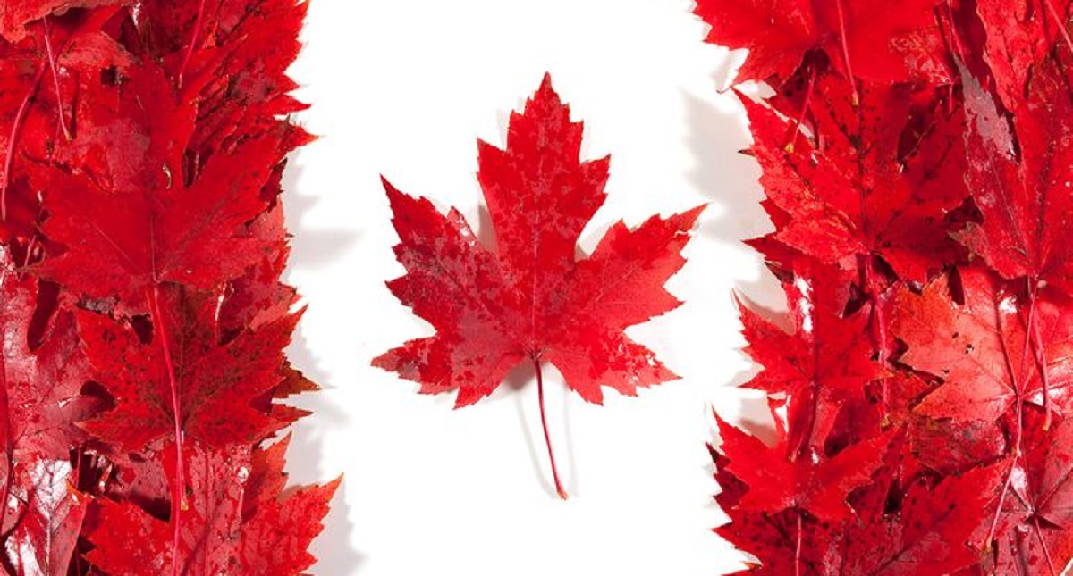 Canadienses planean venganza contra EE.UU. por aranceles - canada