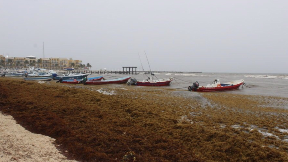 Zona de baja presión en Michoacán podría convertirse en ciclón