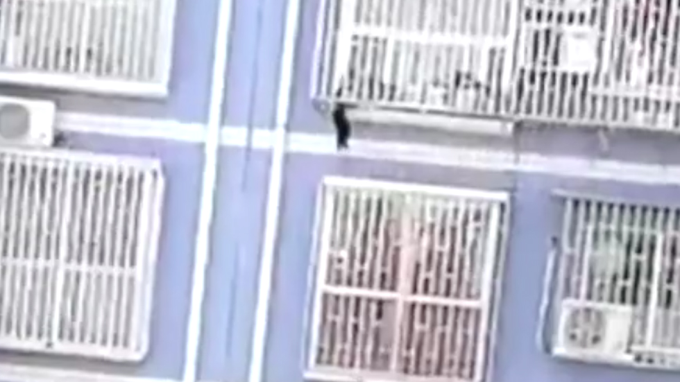 #Video Hombre en China escala edificio para rescatar a menor