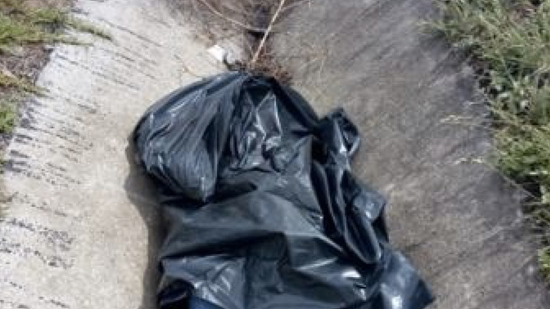 Localizan cuerpo de mujer en Circuito Exterior Mexiquense - circuito-exterior-mexiquense