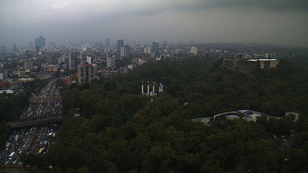 Lluvia provoca encharcamientos y caída de rama en la capital
