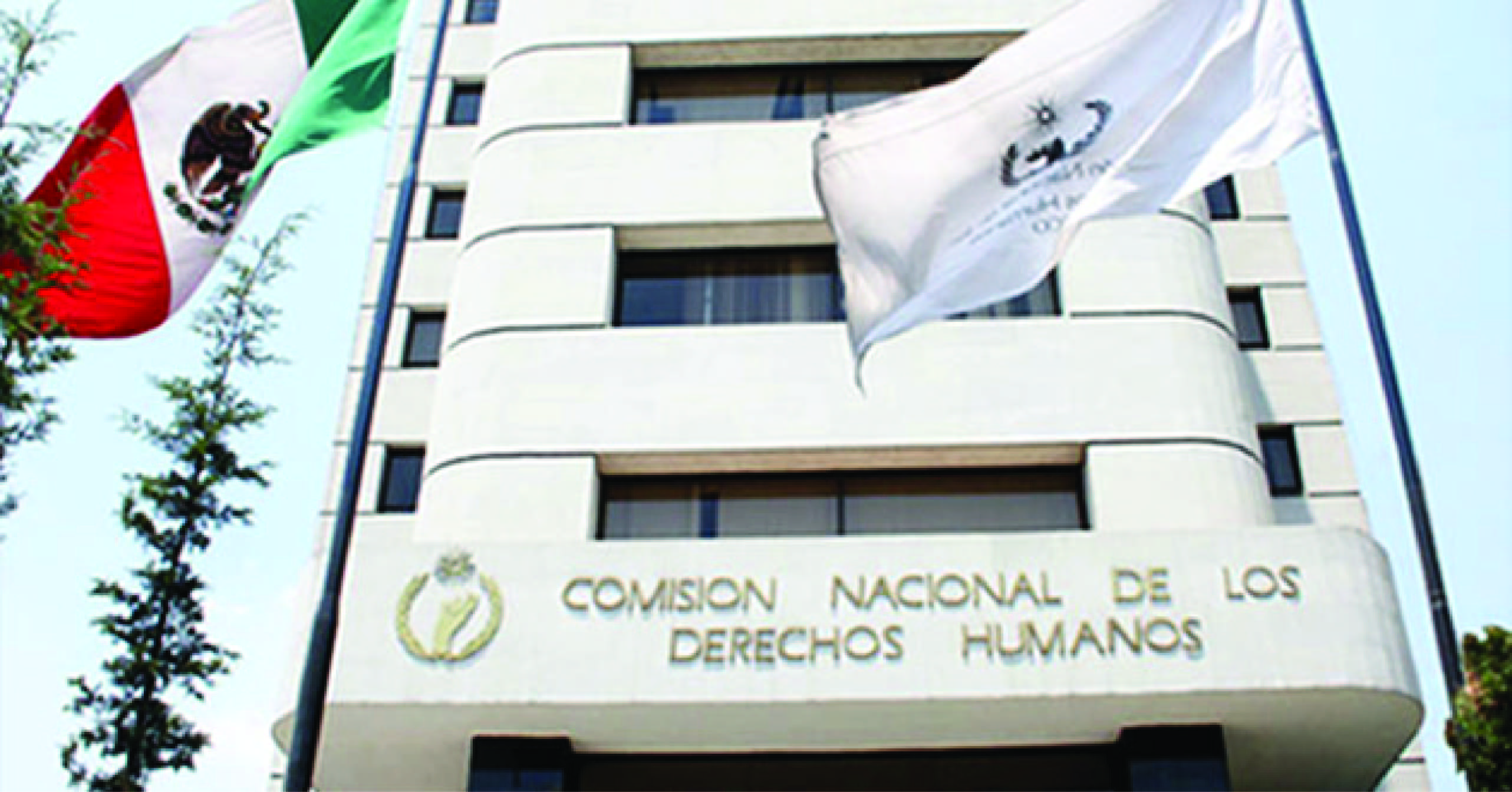 Ombudsman de la CNDH discutirá amnistía con Sánchez Cordero - cndh-d