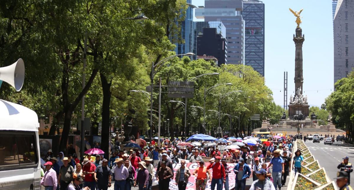 Protestas de la CNTE provocan pérdida de 36 mdp a comercios capitalinos - cnte-ciudad-de-mexico-oaxaca-marchas