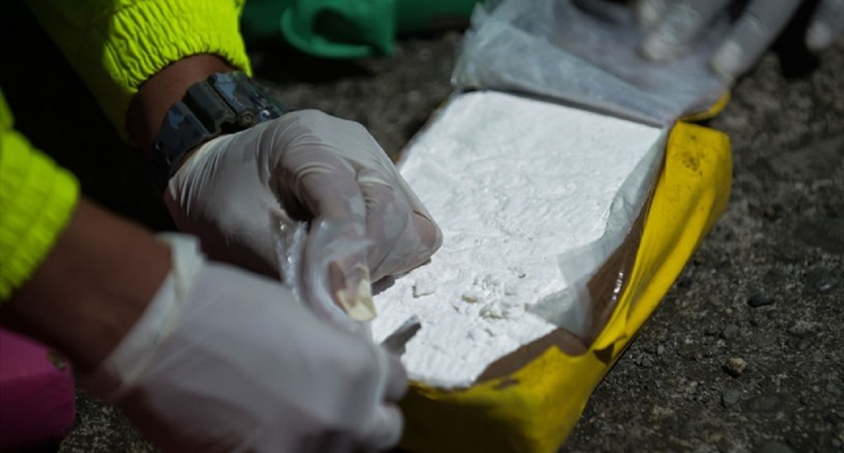 Colombia aumenta producción de cocaína por alto consumo en EE.UU. - colombia-aumenta-produccion-de-cocaina-por-alto-consumo-en-eeuu