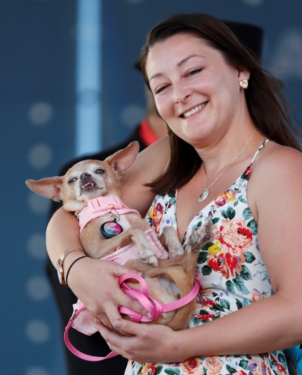 #FOTOS La mascota más fea del mundo - daisy