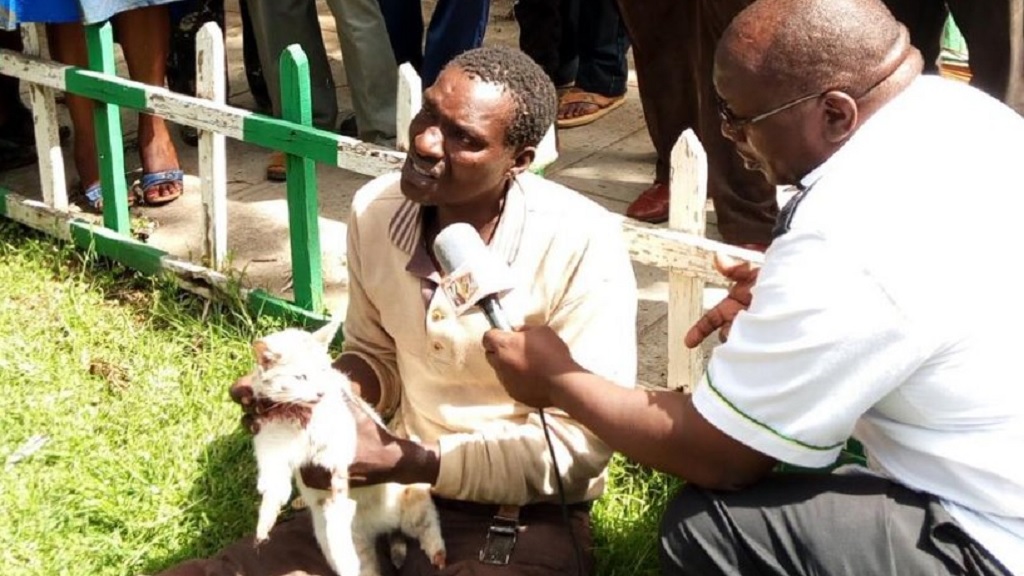 Denuncian a keniano por desollar vivos a gatos y vender su carne - denuncian-a-hombre-por-desollar-vivos-a-gatos-y-vender-su-carne