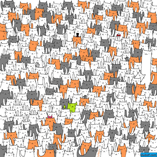 Reto viral: Encuentre al conejo infiltrado entre estos gatos - gatos-reto-viral-encontrar-al-conejo-2