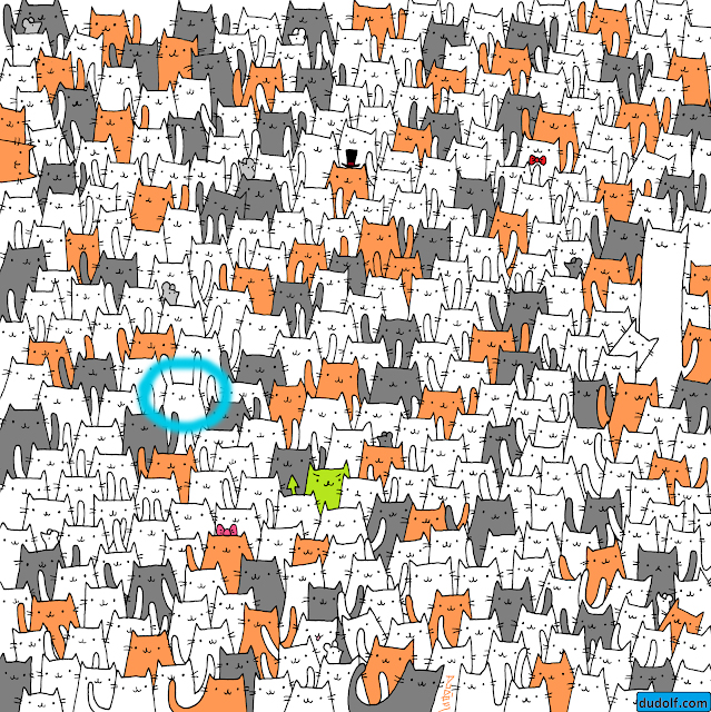 Reto viral: Encuentre al conejo infiltrado entre estos gatos - gatos-reto-viral-encontrar-al-conejo-3