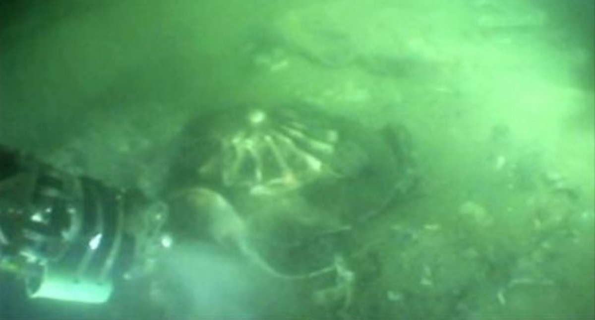 Hallan avión de la Segunda Guerra Mundial en costa de Bélgica - hallan-avion-de-la-segunda-guerra-mundial