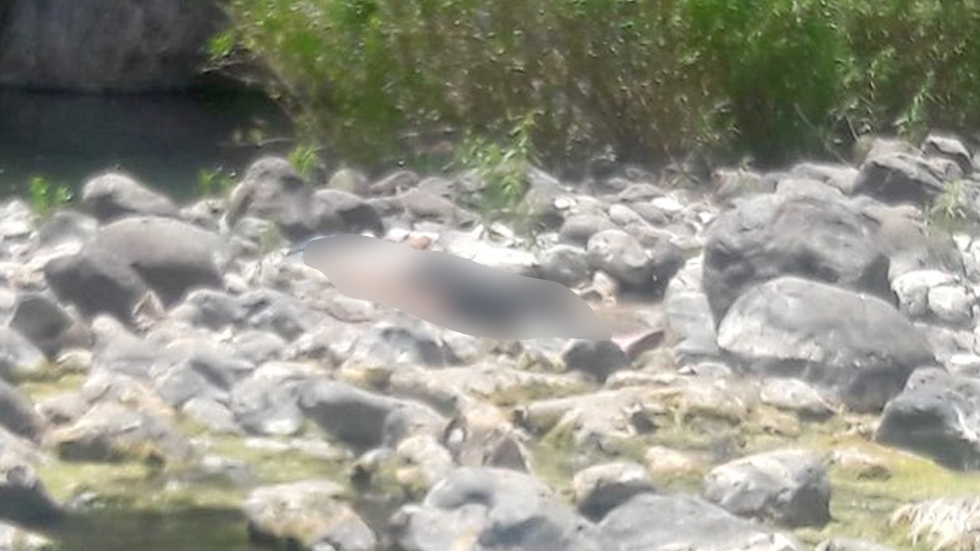 Joven se ahoga en río de Hidalgo durante excursión escolar