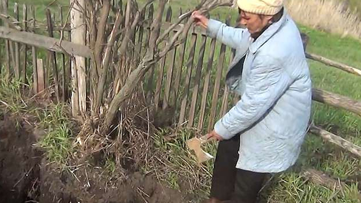 Hombre descubre el cadáver del primer marido de su esposa - hombre-asesinato-primer-marido-esposa