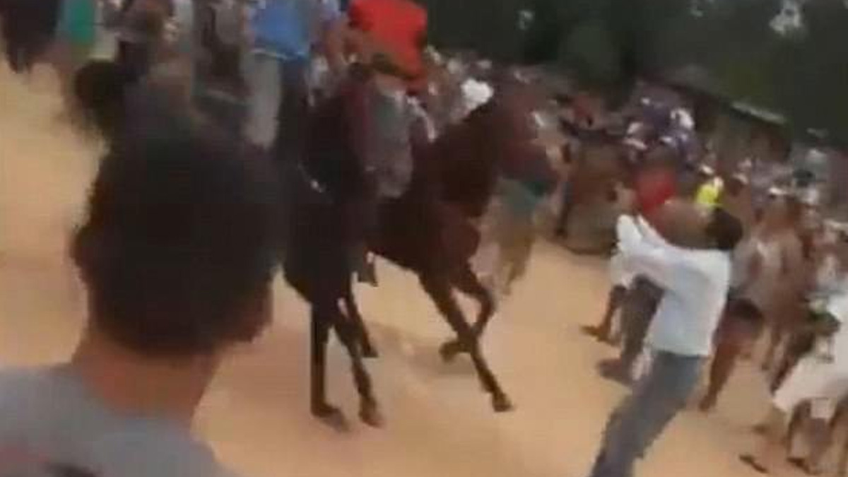 #Video Hombre resulta arrollado en carrera de caballos