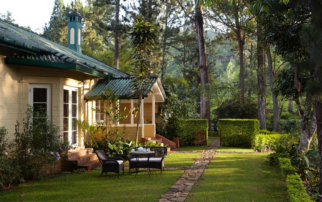 Ceylon tea trails, el paraíso de los amantes del té - house-and-backyard