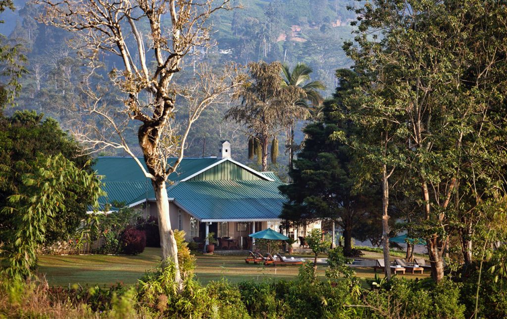 Ceylon tea trails, el paraíso de los amantes del té - house