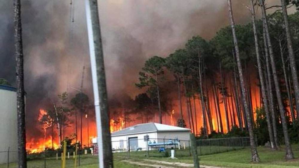 Incendio forestal destruye 30 casas en Florida