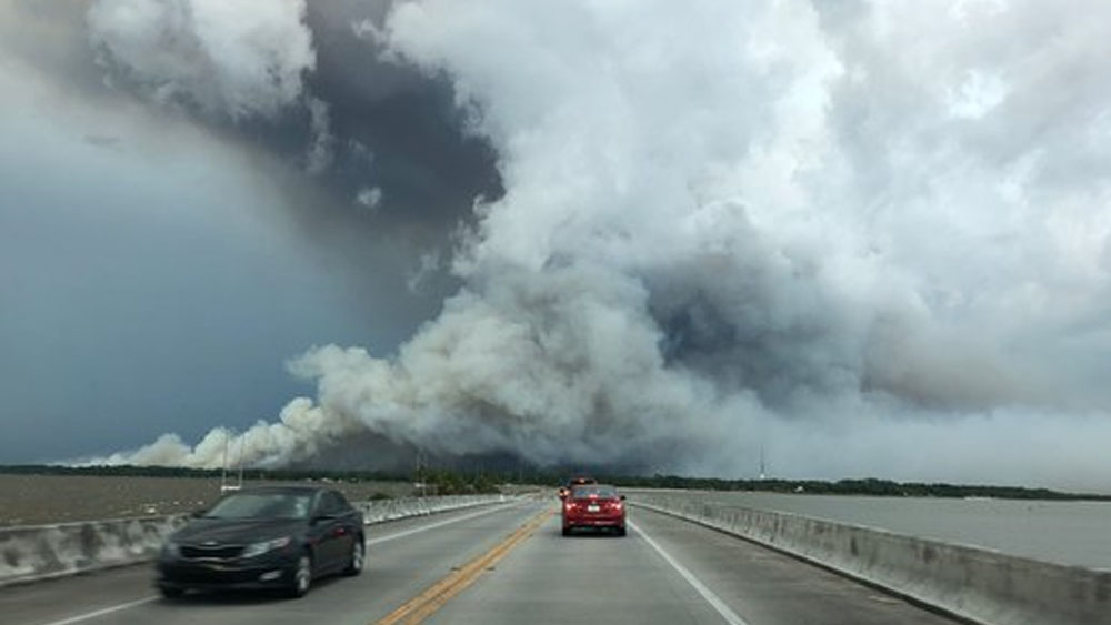 Incendio forestal destruye 30 casas en Florida - incendio-forestal-florida1