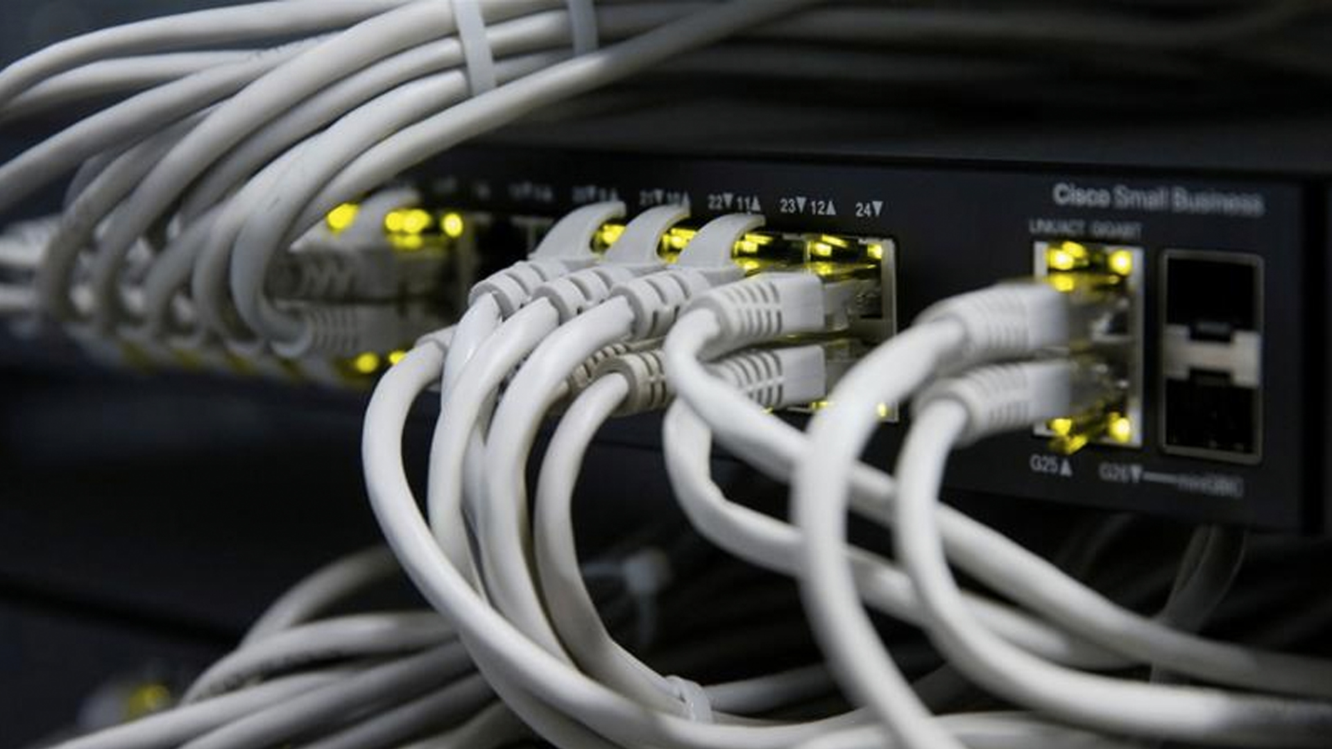 Argelia e Irak suspenderán internet durante exámenes de admisión a la escuela