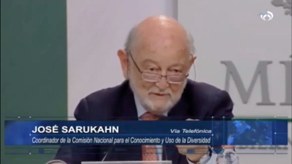 Urgente restaurar y manejar la biodiversidad de manera sustentable: José Sarukahn Urgente restaurar y manejar la biodiversidad de manera sustentable: José Sarukahn