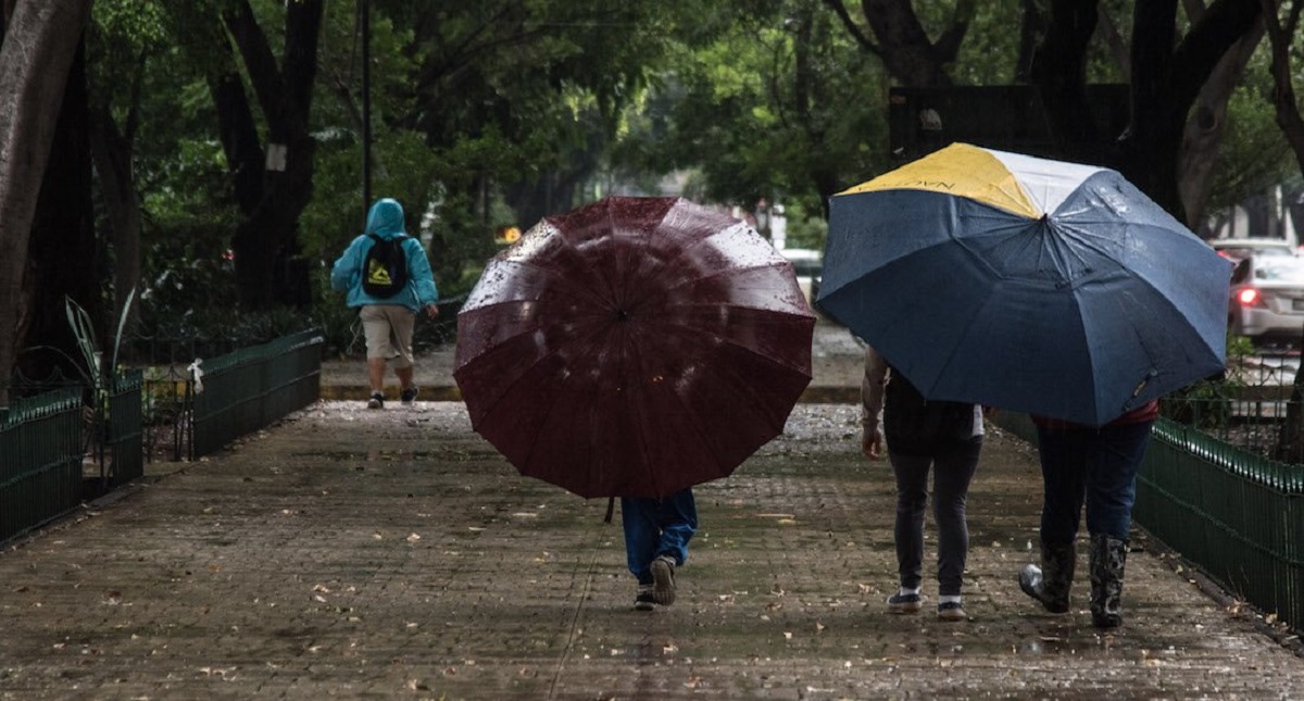 Lluvia de ligera a moderada en siete delegaciones