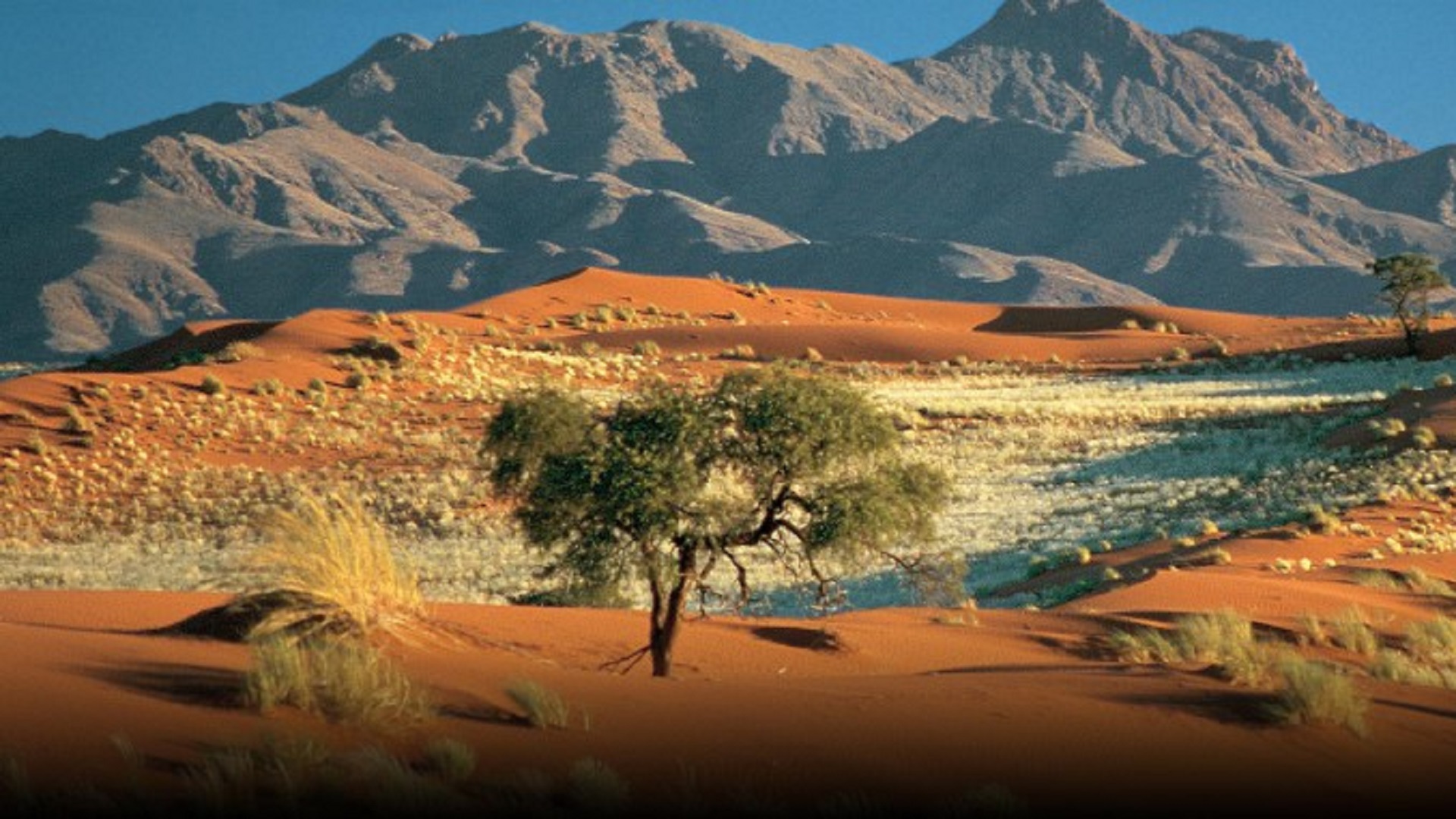 Meghan Markle y el príncipe Harry visitarían México en luna de miel - luna-de-miel-meghan-markle-y-el-principe-harry