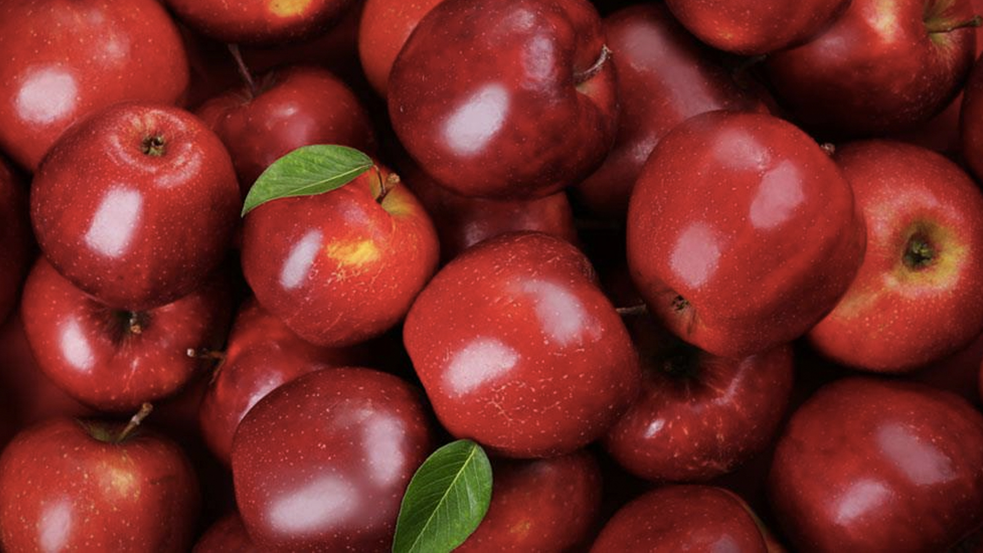 Aranceles a manzanas incrementan precios