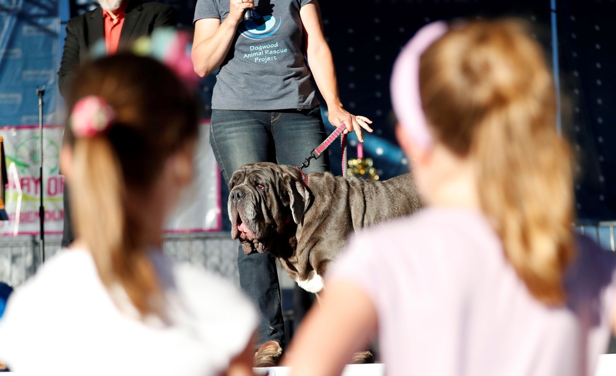 #FOTOS La mascota más fea del mundo - martha