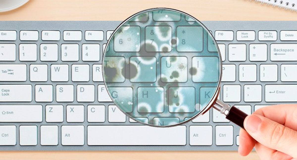 Cocina y celular, entre los lugares más llenos de bacterias