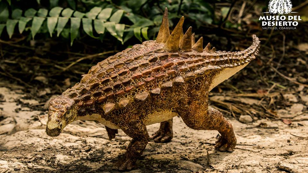 Descubren en Saltillo nueva especie de dinosaurio
