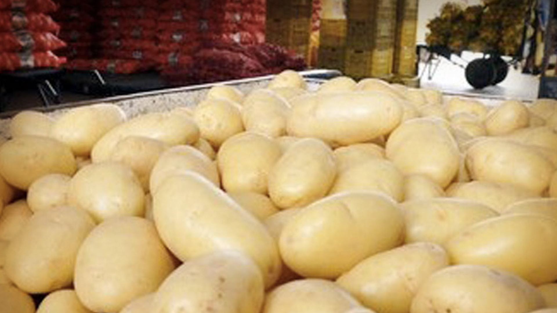 Juez niega entrada de papa de Estados Unidos