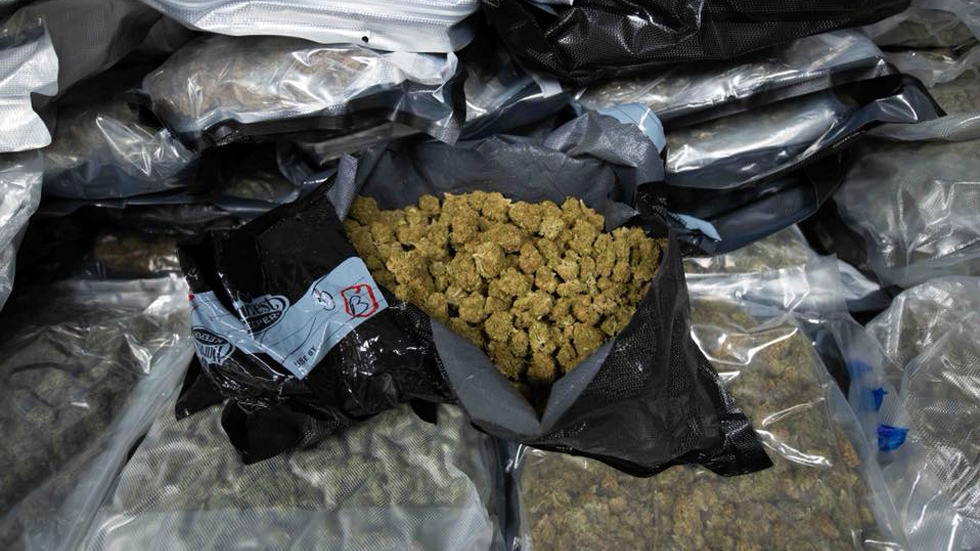 Perro detecta cargamento de más de 600 kilos de mariguana en Chicago - perro-detecta-cargamento-mariguana-chicago-2