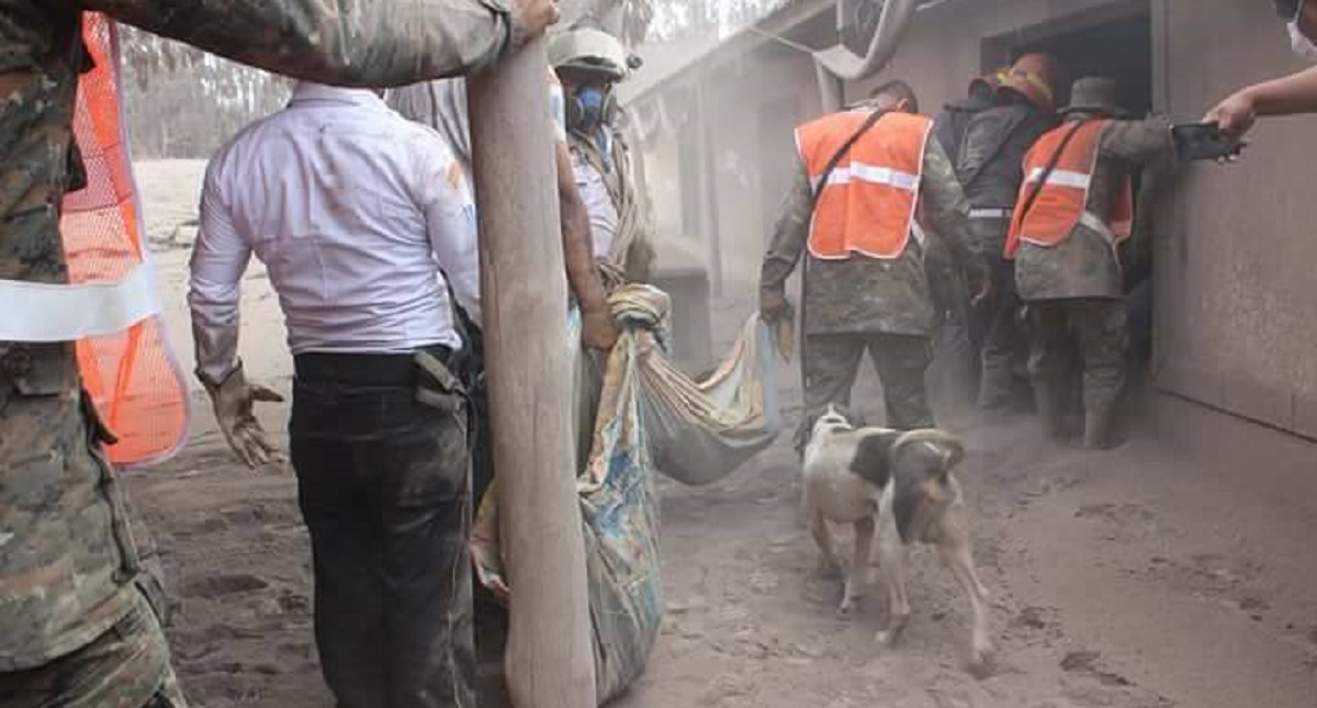 Perro guía a soldados a su familia sepultada por Volcán de Fuego