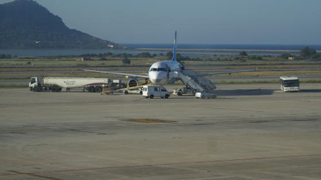 Perro se cuela en pista de aterrizaje y retrasa 11 vuelos en Ibiza - perro-se-cuela-en-pista-de-aterrizaje-y-retrasa-12-vuelos