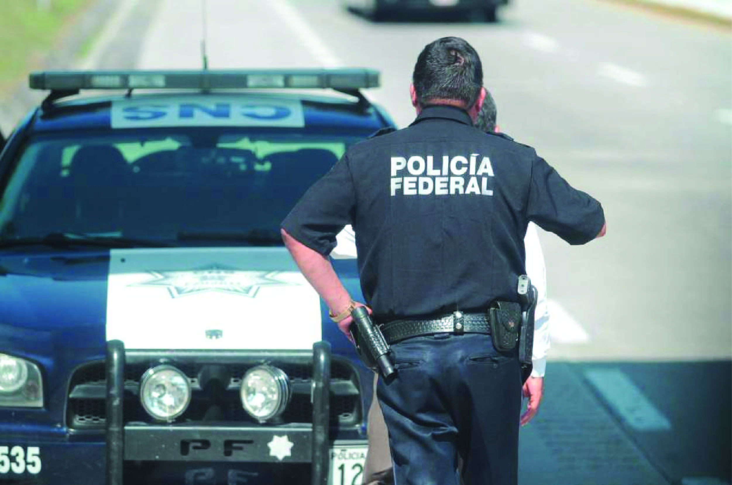 Policía Federal asegura en Chihuahua tortugas de especie protegida