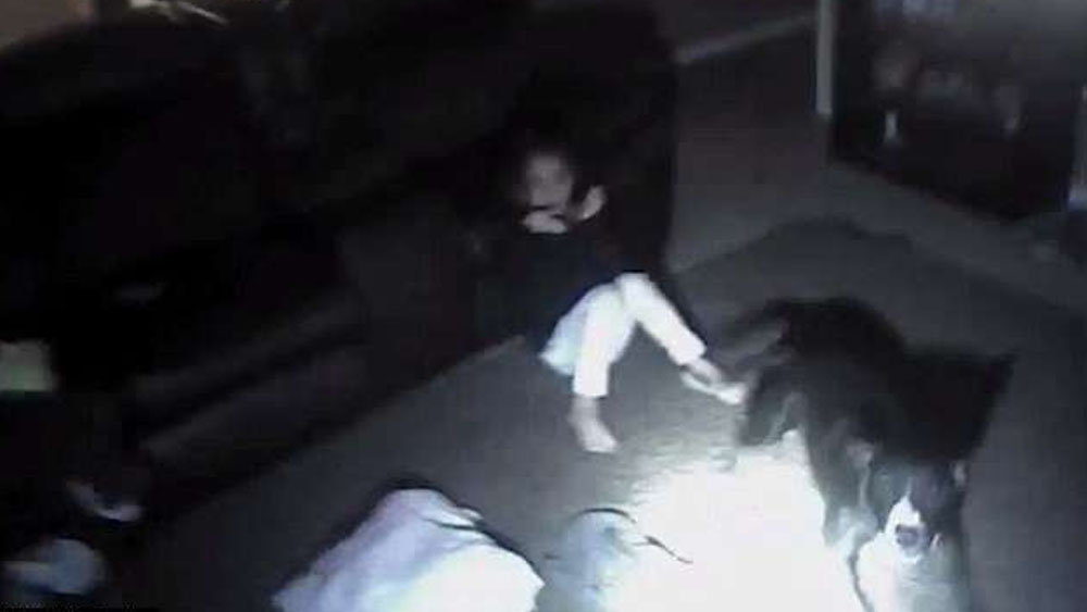 #Video Policía dispara a perro y a niña en EE.UU.