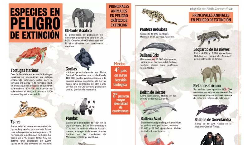 Especies en peligro de extinción