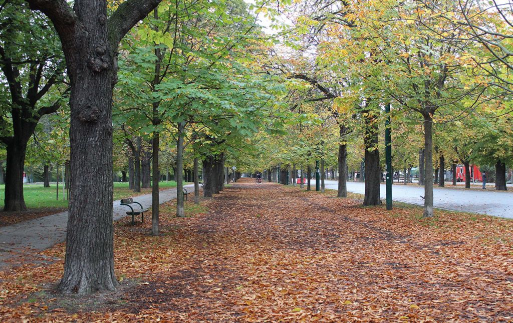 Cuarenta y ocho horas en Viena - prater-park