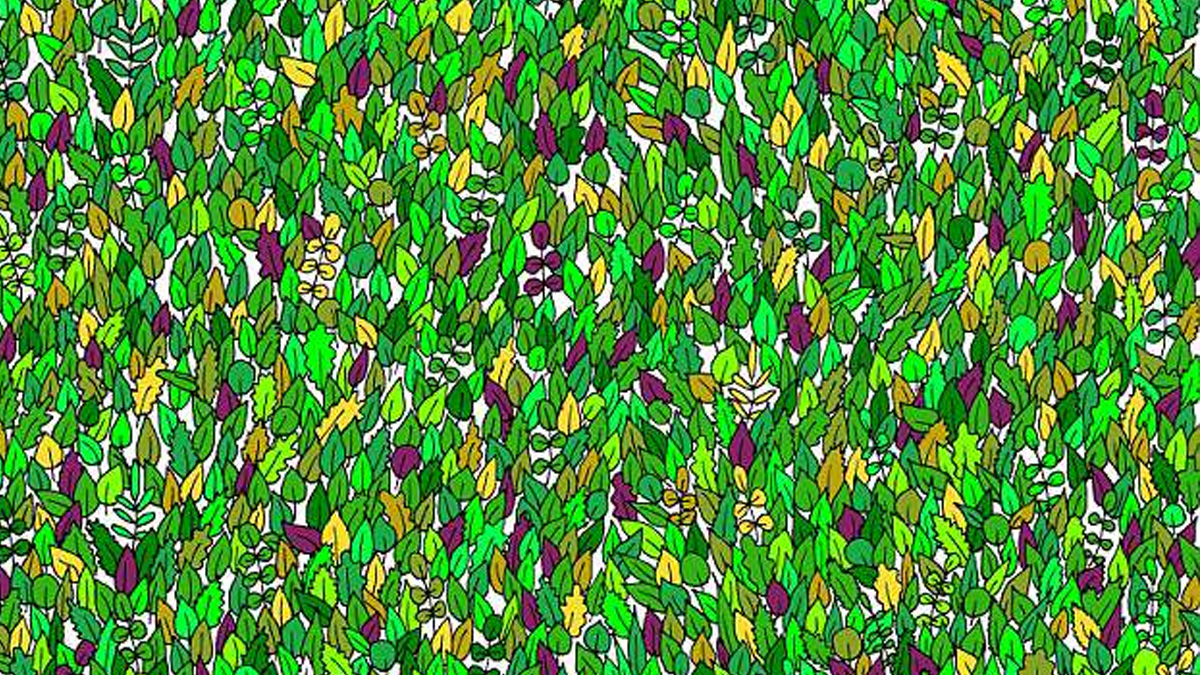 #Viral Encuentra la rana oculta entre las hojas