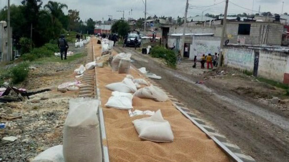 Saquean 50 toneladas de trigo de tren en Puebla