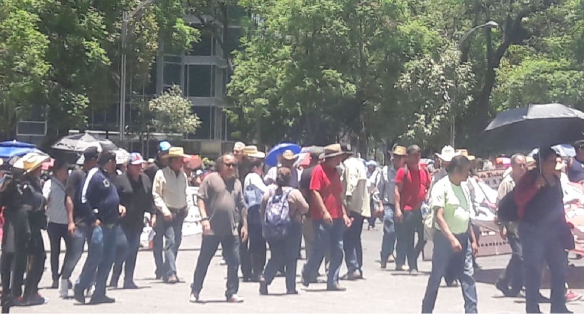 SEP descontará a maestros que marcharon en Ciudad de México - sep-descontara-a-maestros-que-marcharon-en-la-cdmx