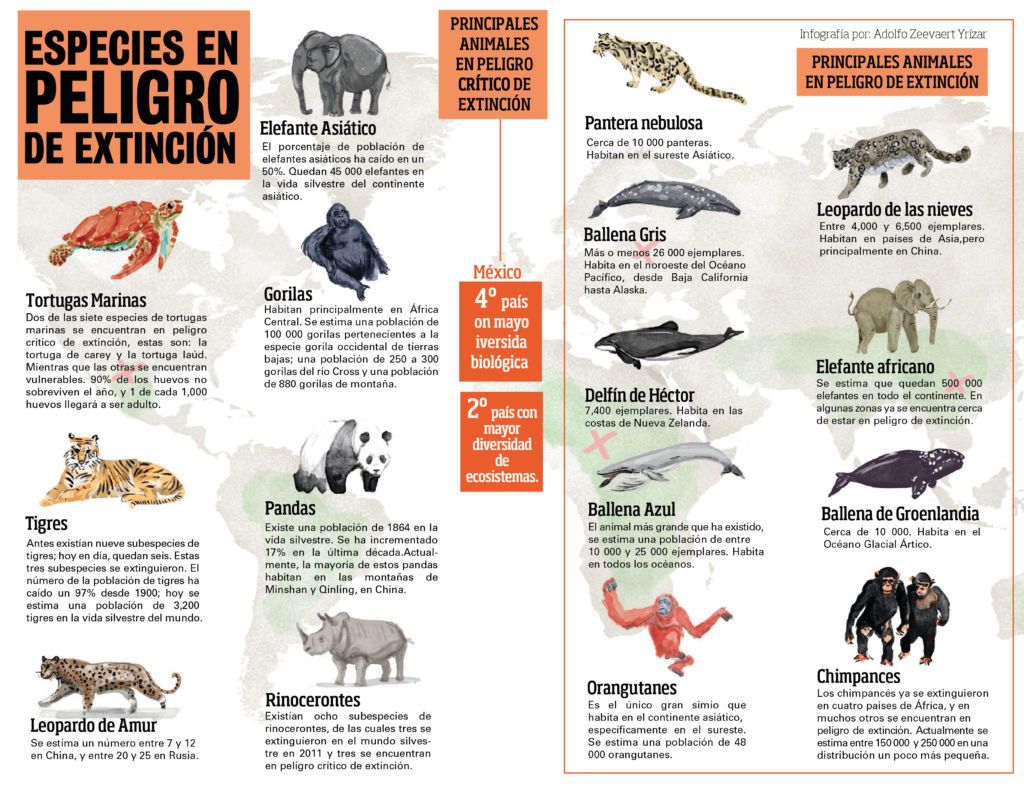 Especies en peligro de extinción - statistics-peligro-de-extincion